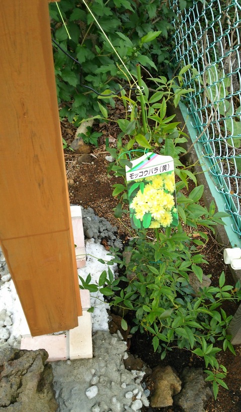 izu20180626-DSC_2308