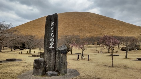 20220310sakuranosatoDSC_0411