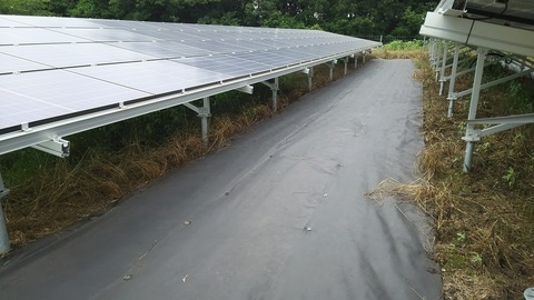 no3-20180619-DSC_2228