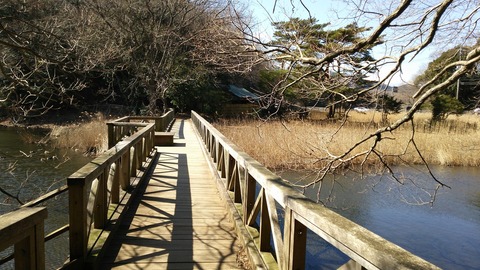 izu-20180212-4