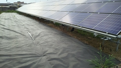 no2-20180619-DSC_2236