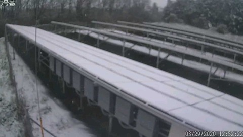 2020-03-29_12_52_3gouki