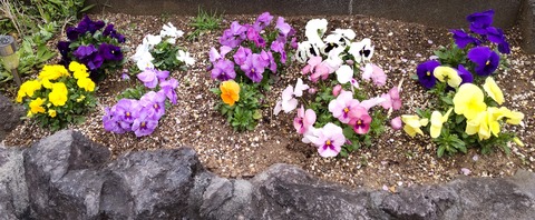 20210713-0402DSC_0011