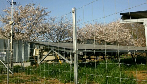 DSC_1431_crop_748x428