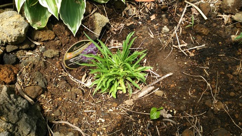 izu20180608-DSC_2123