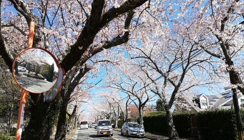 20190331_103009