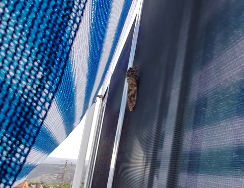 20210805174349077_COVER