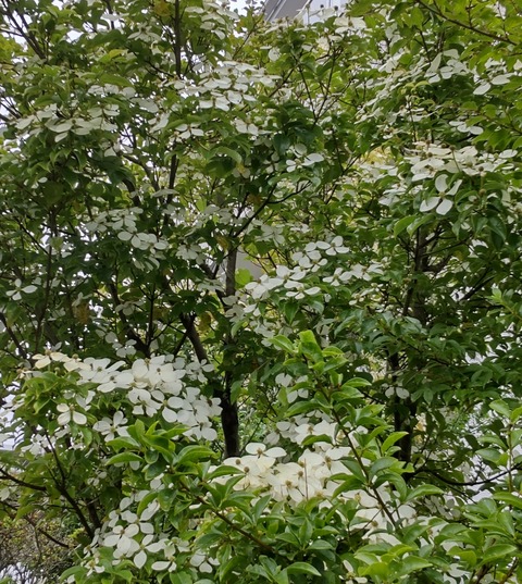 20210709105716629_COVER