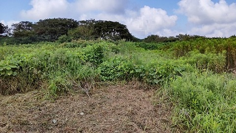 20210830DSC_0598