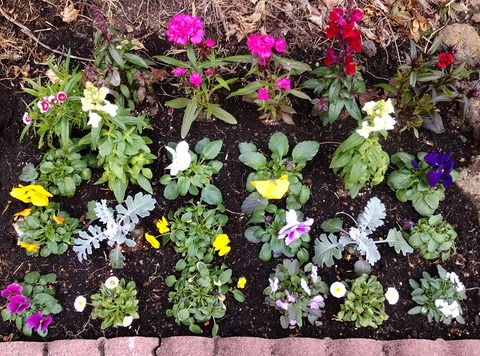 20220129_kadanDSC_0973