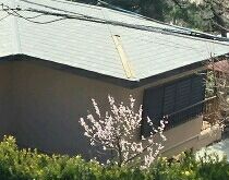 DSC_1214_crop_210x165