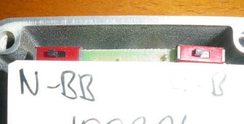 IMGP0541