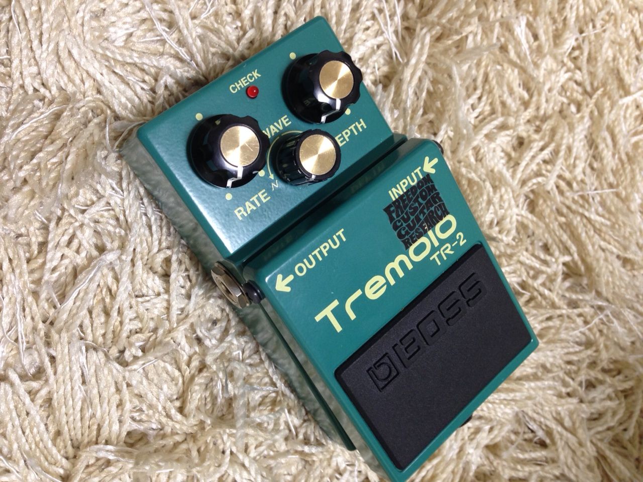 TR-2(BOSS～Freedom Custom Guitar Research Mod）と新春楽器屋巡り