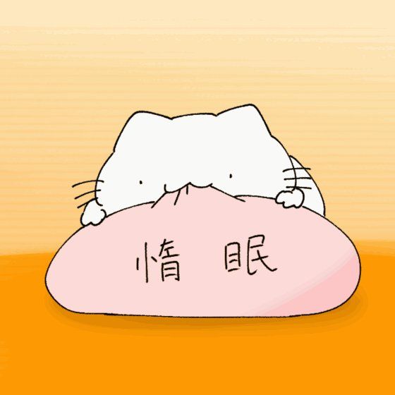 最新のhd可愛い からめる 猫 画像 最高の壁紙コレクション 最新のhd可愛い からめる 猫 画像 最高の壁紙コレクション