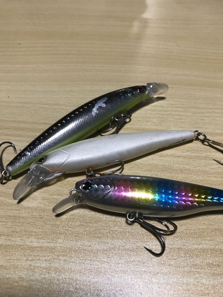 港湾用のシンキングミノー 利根川シーバス特攻釣行記