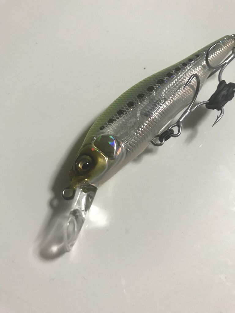 メガバス X80sw 利根川シーバス特攻釣行記 メガバス X80sw 利根川シーバス特攻釣行記
