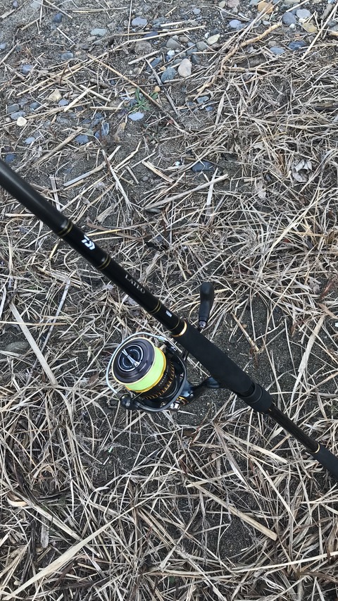 ダイワ【ラテオR100M】 : 特攻隊長さんの釣行記