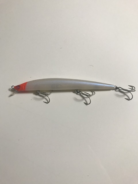 メガバス【X120SW】 : 特攻隊長さんの釣行記