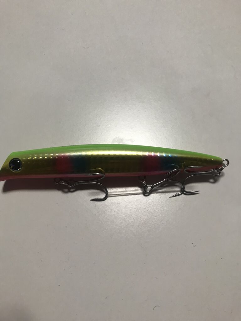 22コモモを買ってみた : 特攻隊長さんの釣行記