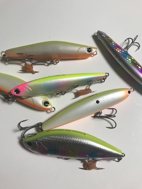 大河川でヘビーシンキングペンシルを使う 特攻隊長さんの釣行記