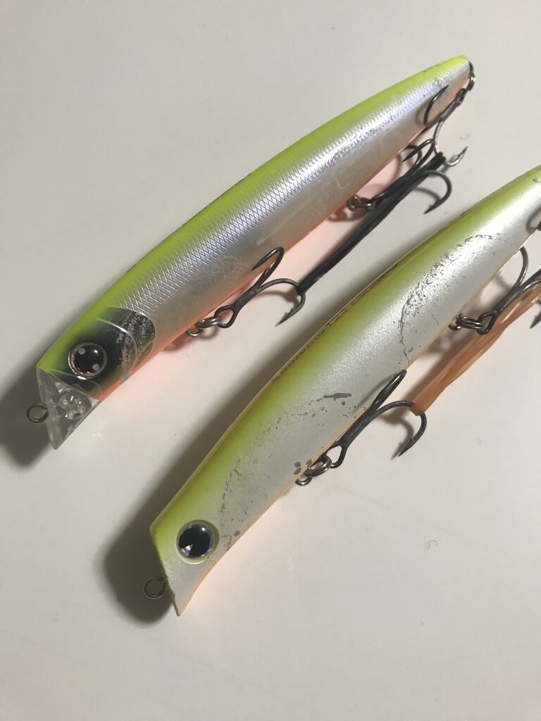 年タックル ルアー総括 利根川シーバス特攻釣行記