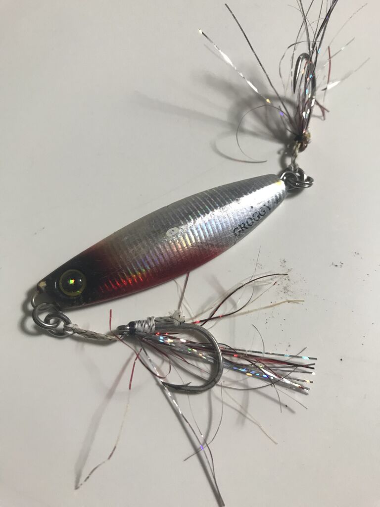 年タックル ルアー総括 利根川シーバス特攻釣行記