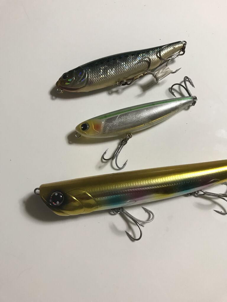 シーバス釣り ミノー達 Www Vetrepro Fr