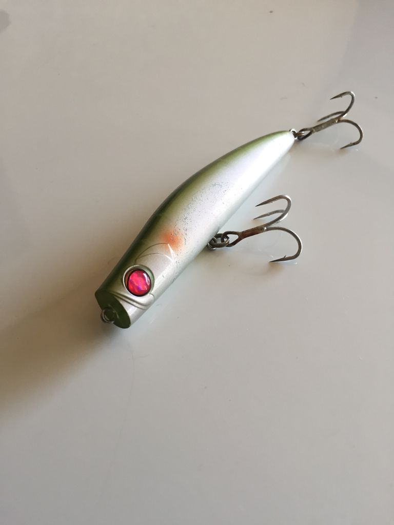 アピア パンチライン95 : 特攻隊長さんの釣行記