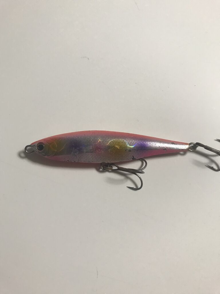 ダイワ【サーフブレイカー95S】 : 特攻隊長さんの釣行記