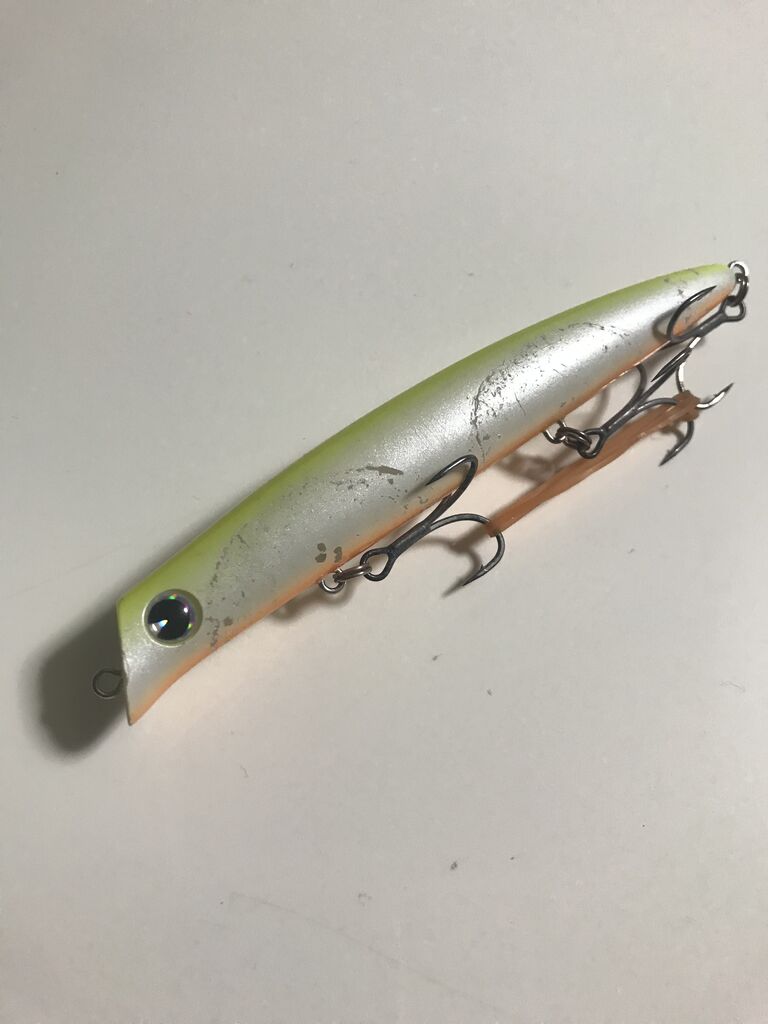 年タックル ルアー総括 利根川シーバス特攻釣行記