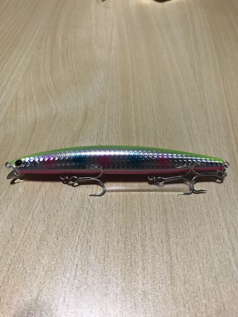 ミノー 利根川シーバス特攻釣行記