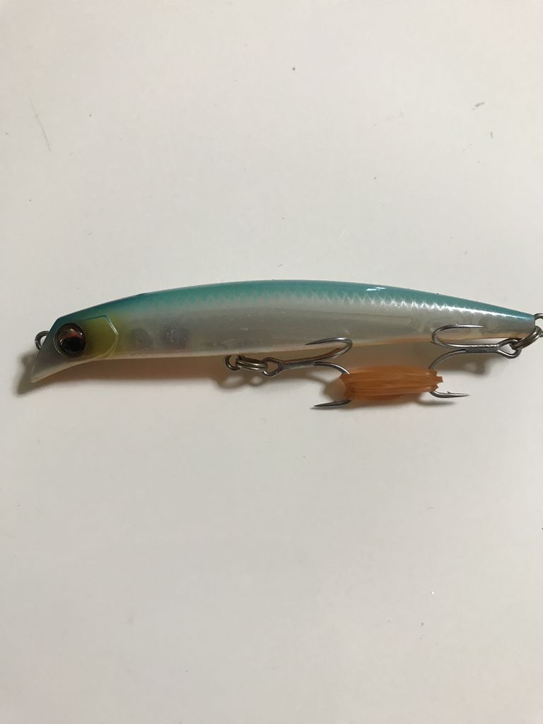 エバーグリーン【アベンジャー90S】 : 特攻隊長さんの釣行記