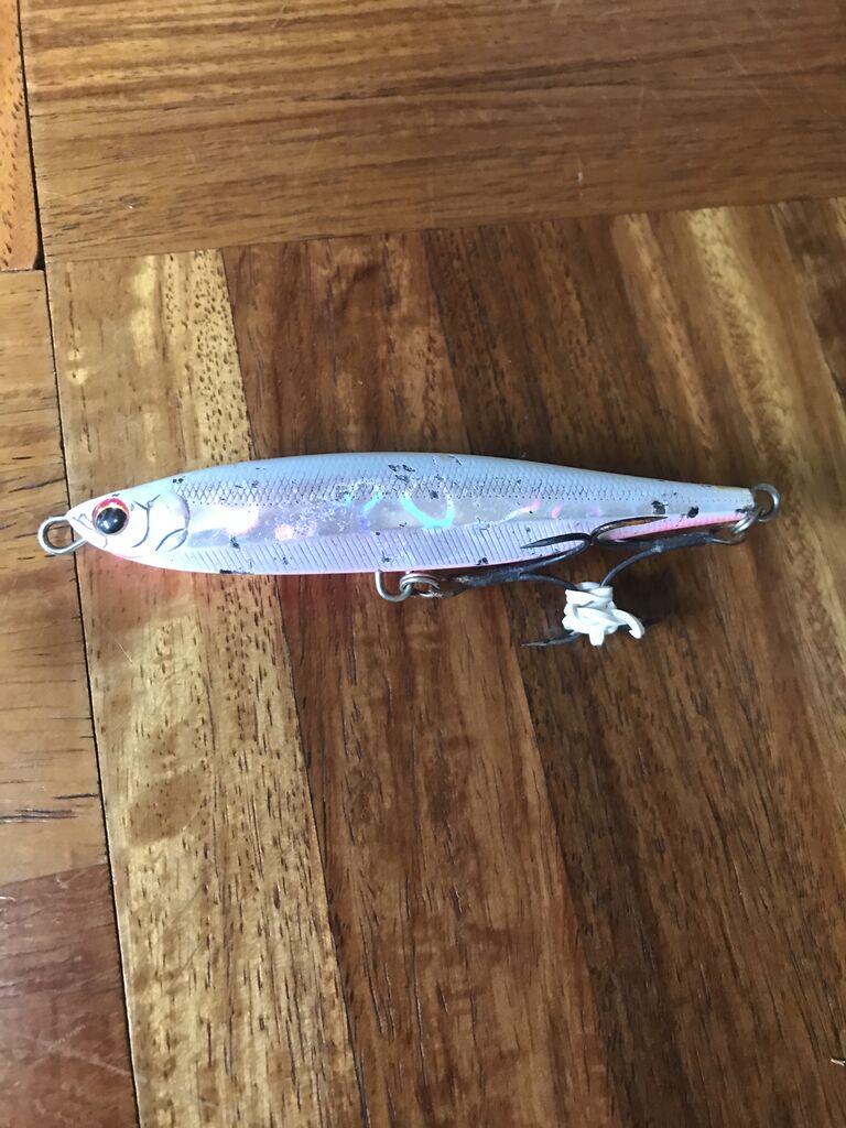 ダイワ【サーフブレイカースリム95S】 : 特攻隊長さんの釣行記