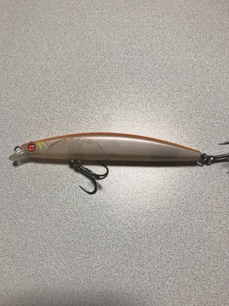 ドーバー1f リメイク版 利根川シーバス特攻釣行記