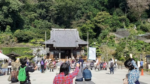 FB_IMG_1634991431214