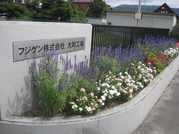 hana