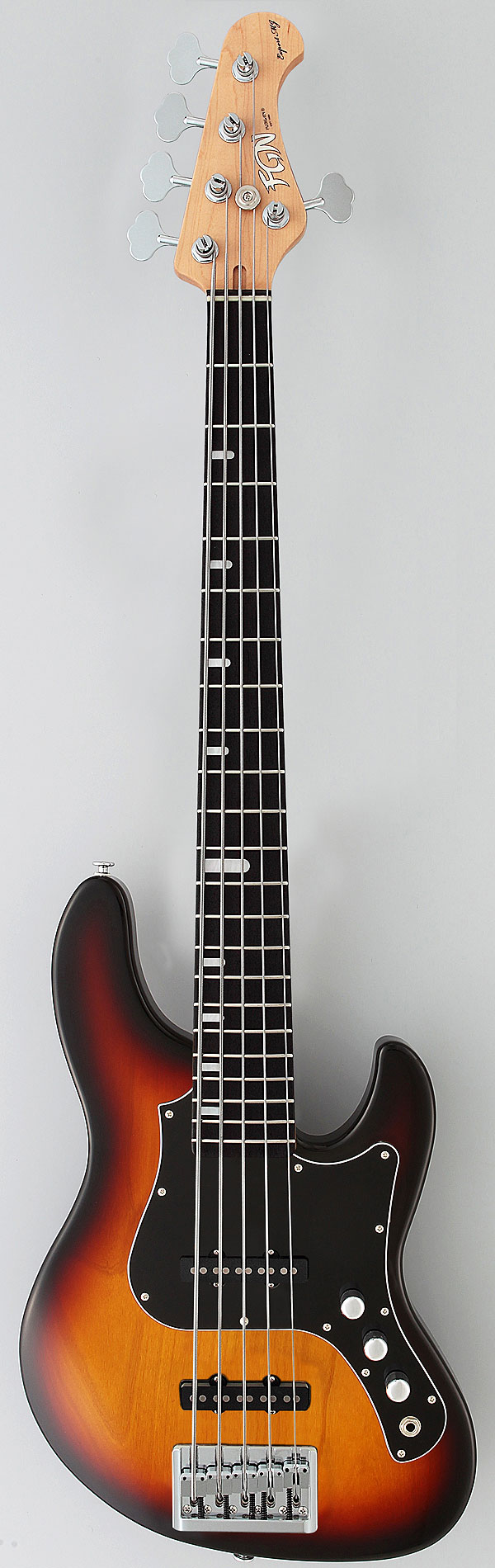 FGN Guitars 海外モデル第三弾本日発売です！ : フジゲン工場ブログ