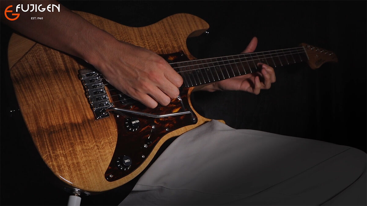 フジゲン　EOS 限定カラー 当店限定スペシャルギター EOS銘木シリーズ : フジゲン工場ブログ