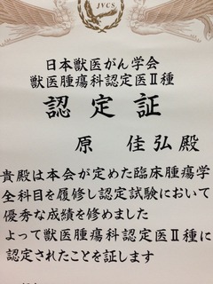 獣医腫瘍学テキスト 日本獣医がん学会 Amazon.co.jp: 獣医腫瘍学テキスト : 日本獣医がん学会: 本
