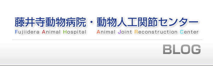 ƣ���ưʪ�±���ưʪ�͹����᥻�󥿡������ե������֥���