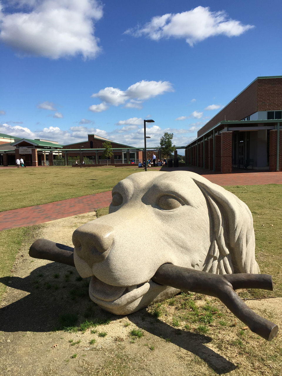 Ccrpコース In ノースカロライナ州立大学 藤井寺動物病院 病院日誌 Ccrpコース In ノースカロライナ州立大学 藤井寺動物病院 病院日誌