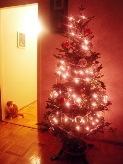 DSCN6365