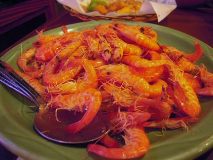 DSCN5211