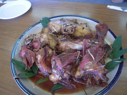 DSCN5988