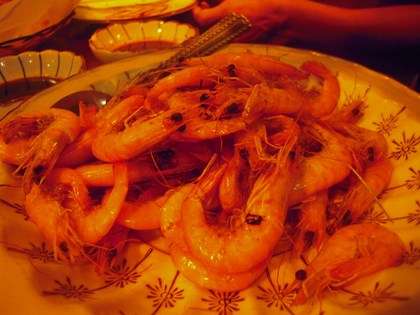 DSCN4516