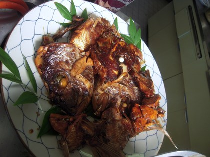 DSCN5983