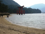 海