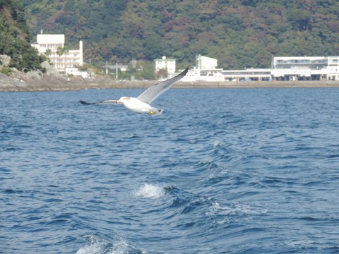 DSCN1849-1