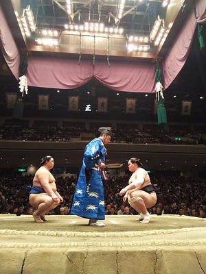 大相撲秋場所と横綱の引退