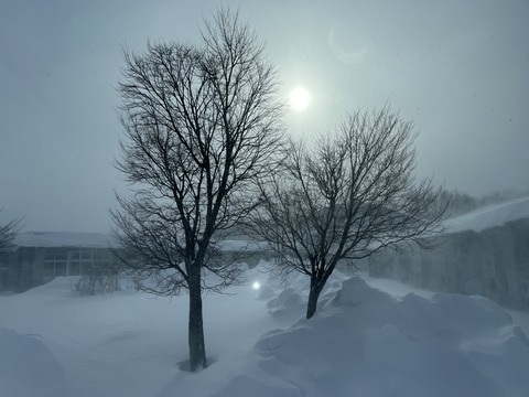 548F9A53-3442-4922-A404-4FA5EC5157D5